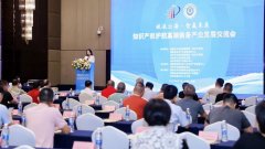 <strong>专利结构成效斐然</strong>