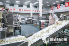 说是一部典型的平易近营企业成长史